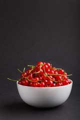 Fresh red currant in white bowl on black background. side view.