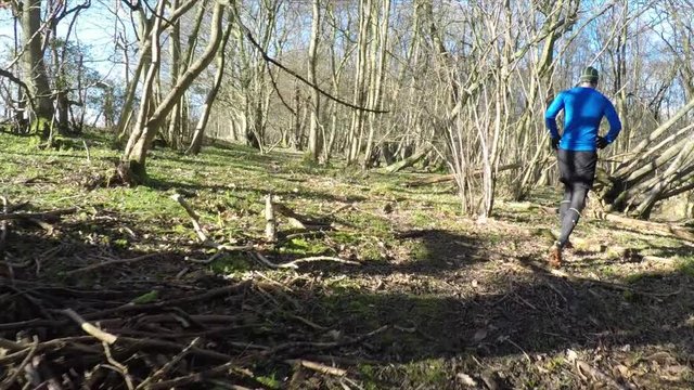 Stabilised shot of men trail running in the forest
