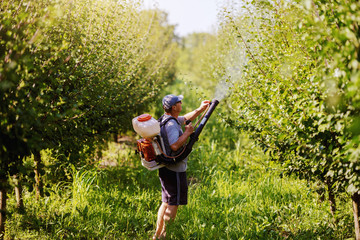 Rear view of Caucasian mature peasant in working clothes, hat and with modern pesticide spray...