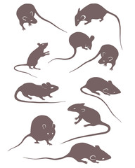 figures of rats and mice on a white background