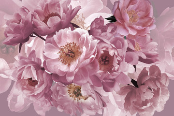 Panele Szklane  Luksusowe tło. Bukiet różowych kwiatów ogrodowych piwonie z bliska.