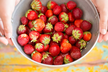Fresh strawberries in colander, female hands 