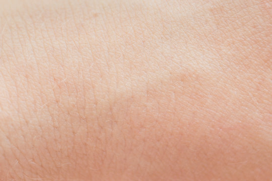 Macro of human skin. Human skin texture