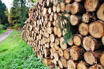 Holzstapel