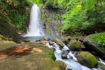白糸の滝　shiraito waterfall 熊本県阿蘇市