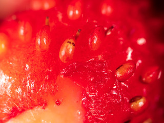 Red ripe strawberry as a background