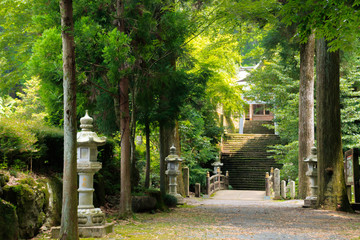 国造神社　参道　熊本県阿蘇市