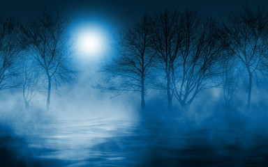 Empty dark background. The glow of the moon in the forest, moonlight through the trees in the forest. The reflection of moonlight in the water