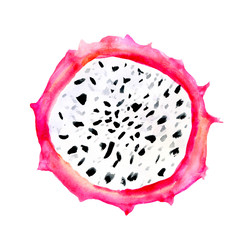 Hand drawn watercolor illustrations of dragon fruits pitaya slice isolated on white background. Pitahaya. Summer food illustration, tropical fruit. Healthy life style painting. Hand drawn clip art