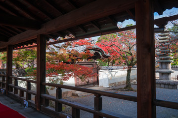 京都　妙顕寺の紅葉