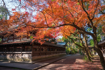 京都　上御霊神社の紅葉