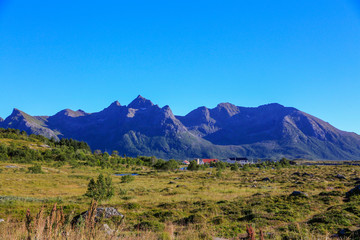 On a road trip in the Lofoten area, as well as some mountain walks