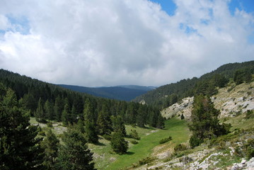 view of forest and mountains