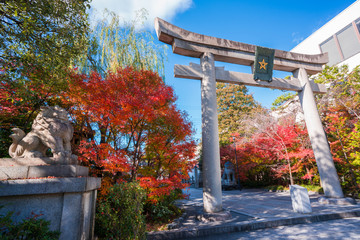 京都　晴明神社の紅葉　