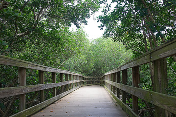  peaceful walkway trails through lush green landscape with scenic views