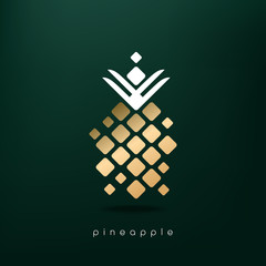 Abstract pineapple logo design. Vector illustration.