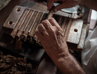 Cigar rolling or making by torcedor in cuba