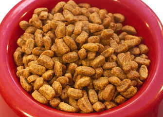 Bowl with cat food on white background