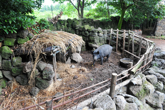 Pigpen that used to be at home in Jeju-do province, South Korea.