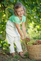 Child with grapes on nature. 