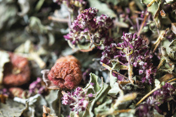 Dry herbal tea with raspberry berries