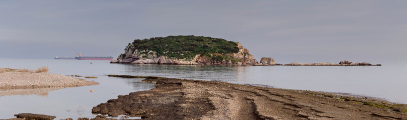 Panorama of a wild beach on a cloudy day