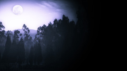 Santurio de Polloc Enca&ntilde;ada  Cajamarca Per&uacute; Italia en los anDES