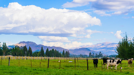 Cajamarca VAlle Norte del Per&uacute;