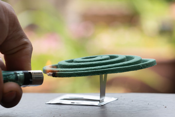 Green spiral insect repellent mosquito coil incense smoking.