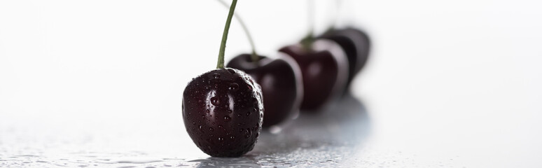 panoramic shot of fresh, sweet, red and ripe cherries covered with droplets