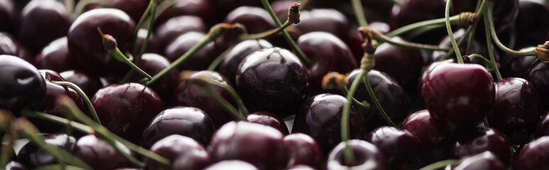 panoramic shot of fresh, sweet, red and ripe cherries