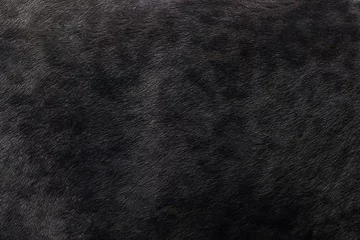 Deurstickers Zwarte panter huidtextuur achtergrond © subinpumsom