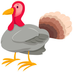 funny turkey farm animal cartoon character