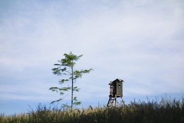 Simple minimalist landscape scenery with wooden hide (tower), grass field and tree. Taken in...