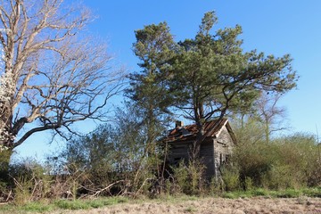 Abandoned House