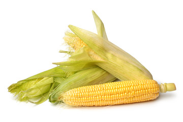 Ripe corn