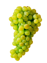 Green table grapes isolated on white background
