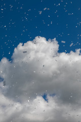Blue sky woth confetti and clouds