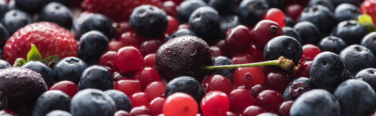 panoramic shot of fresh and ripe cherries with drops, blueberries, strawberry and cranberries