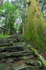 軍刀利神社の石段