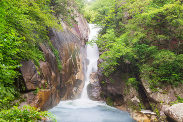 Fototapeta na wymiar 新緑の昇仙峡 仙娥滝
