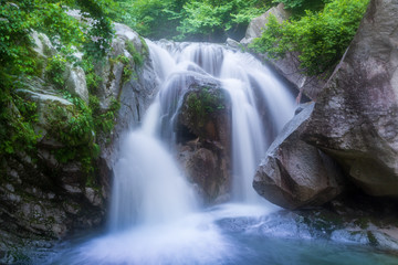 新緑の北杜市白秋 尾白川渓谷 三の滝