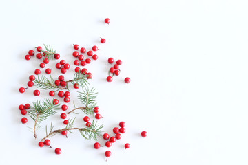 Frame of red berries , green twigs on a white background with space for text. Top view, flat lay. Fall decorative
