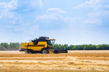 The machine for harvesting grain crops - combine harvester in action on rye field at sunny summer day. Agricultural machinery theme.