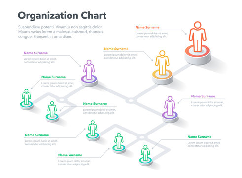 Modern simple company organization hierarchy chart template with place for your content. Easy to use for your website or presentation.