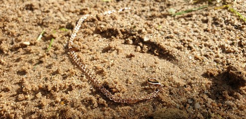 Lost gold chain. Gold chain.