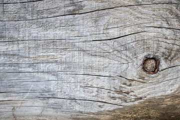 Wood desk with old snag. Wooden log with cracks. Crack in the wood.