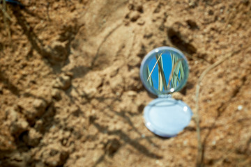 The reflection of grass in a round mirror lying on the sand . Botany, unity with nature.