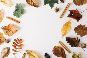 Arrangement of leaves and condiments