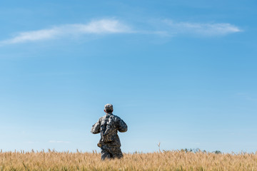 back view of soldier in military uniform with backpack standing in field with golden wheat
